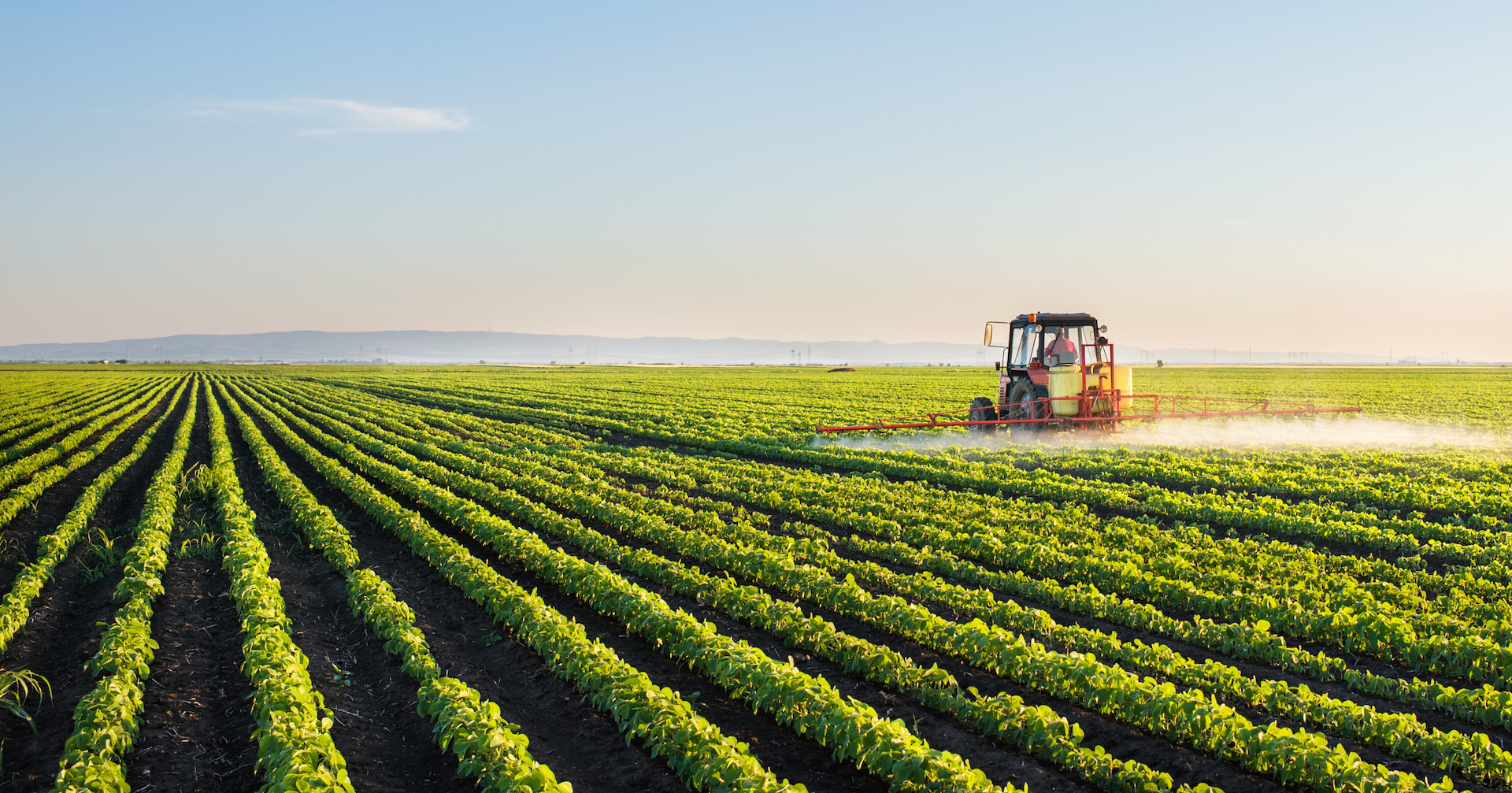 Feeding Ourselves Thirsty  Tracking Food Company Progress Toward a Water-Smart  Future